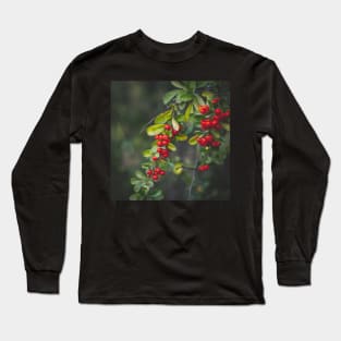 Berries Long Sleeve T-Shirt